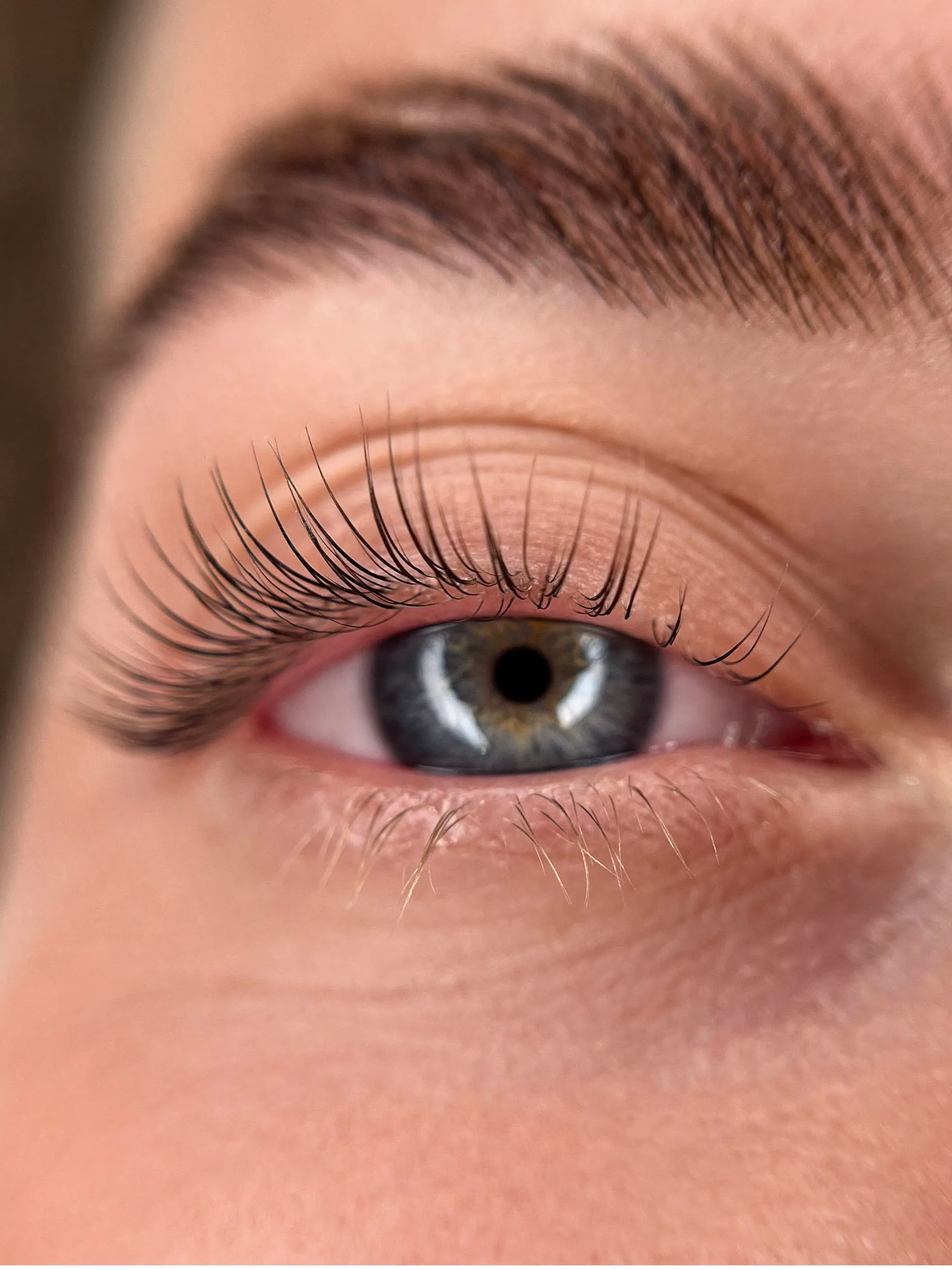 Natural lashes after lift and tint by Elina