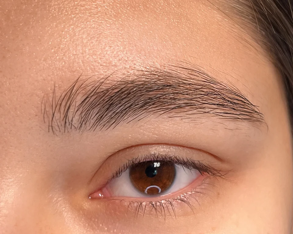 Before brow tint, portfolio example by Elina